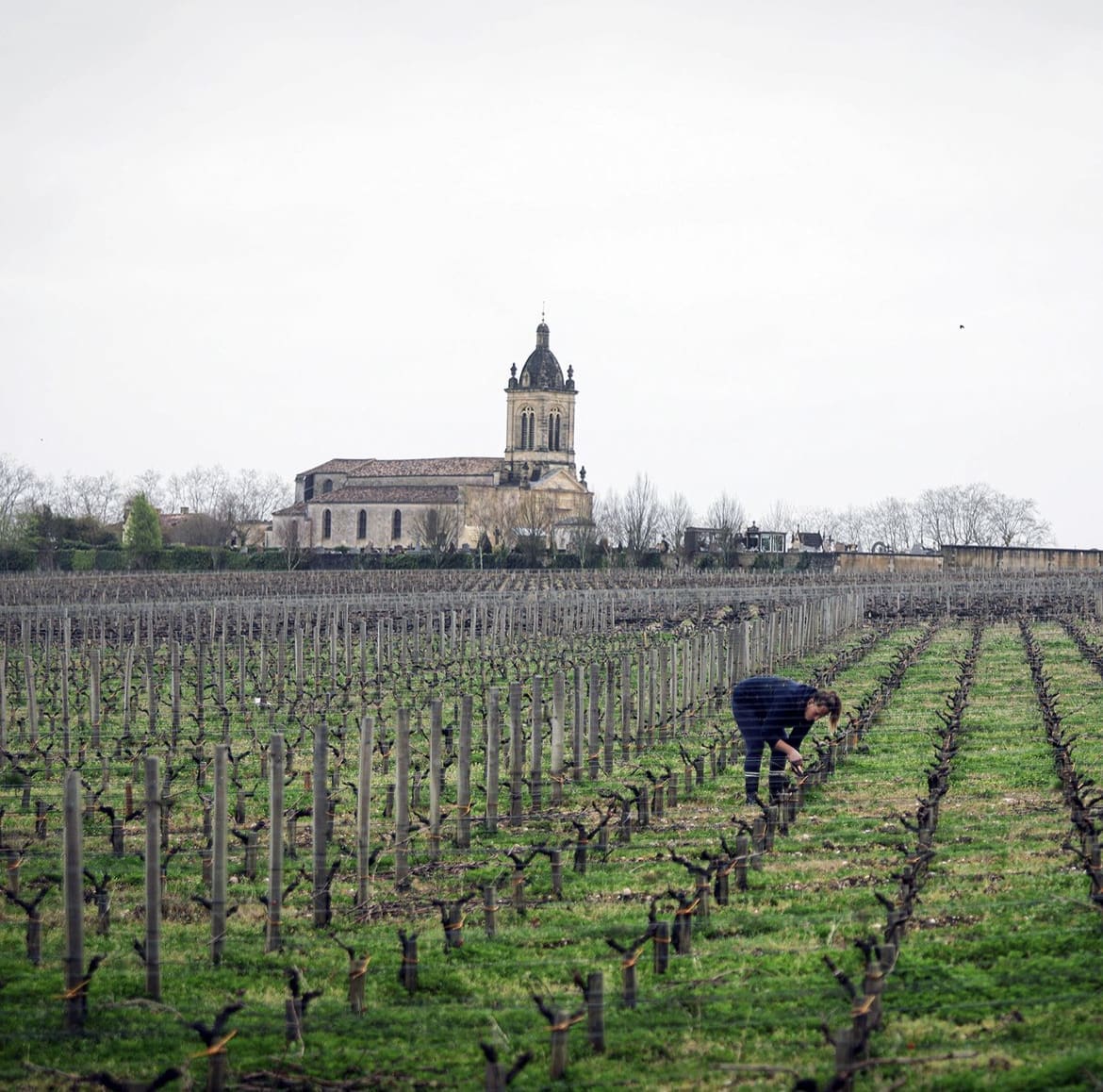 Vineyard in Bordeaux - 12 Of The Best Places To Visit In France