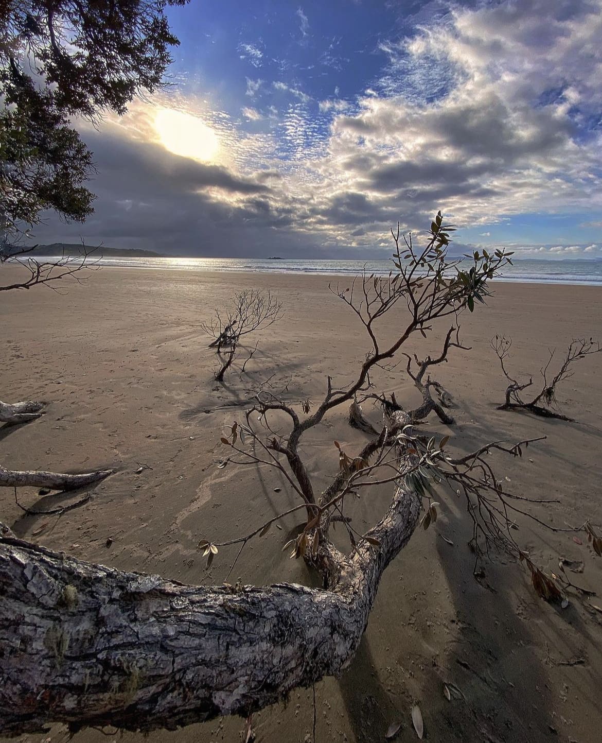 Coopers Beach, Southampton, New York