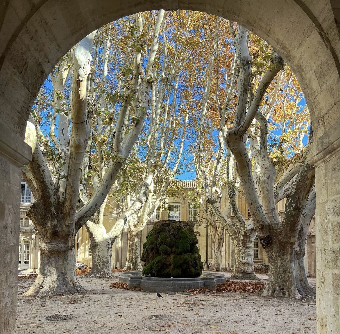 Avignon, France