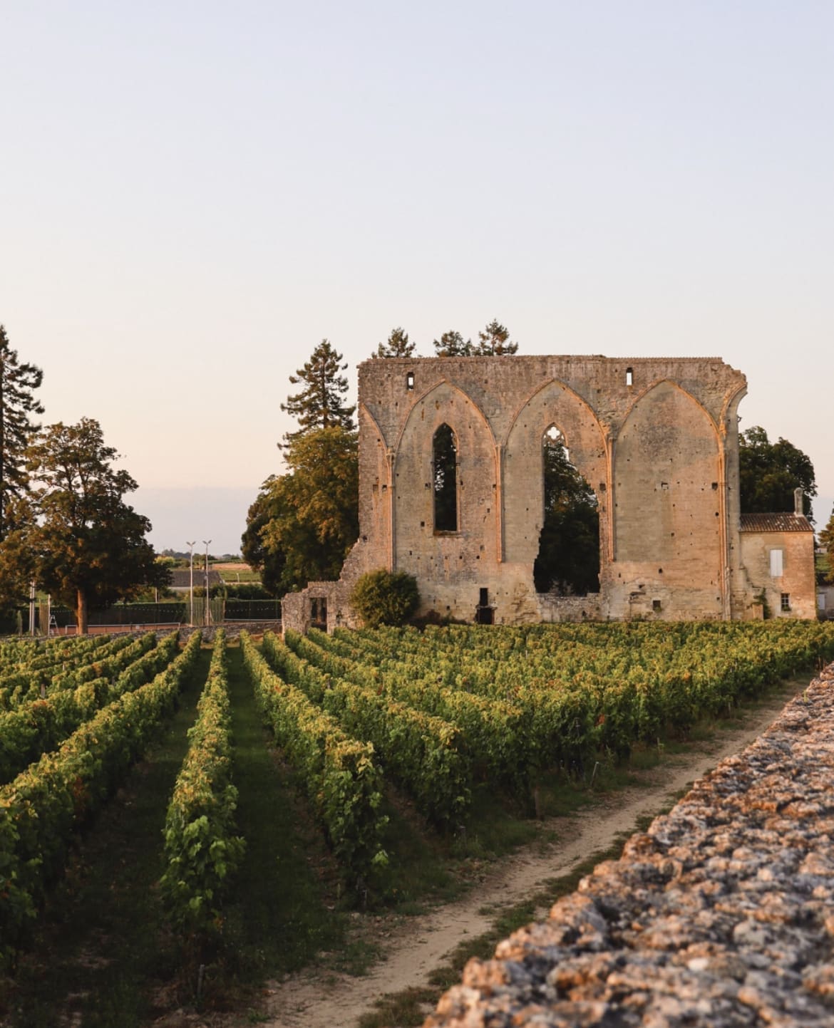 Winery in Bordeaux