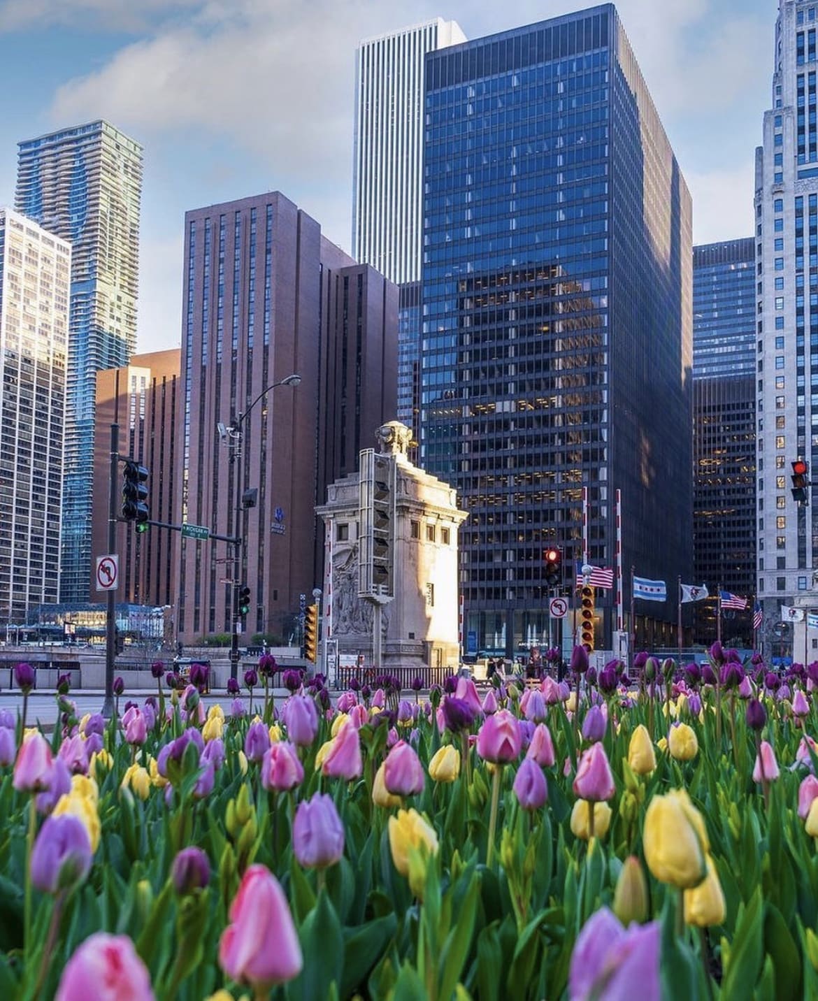 Tulips bloom as spring starts in the city - The Weather in Chicago, US