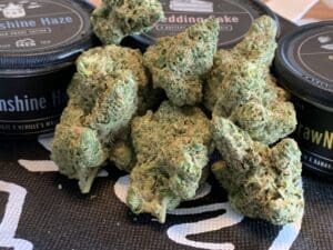 Laws in Amsterdam For Weed | Wildest