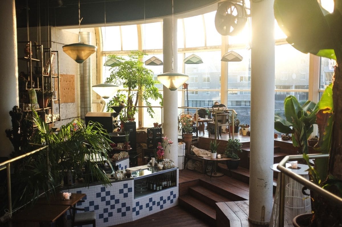 Aloha Bar, Rotterdam - The 20 Best Bars In Rotterdam