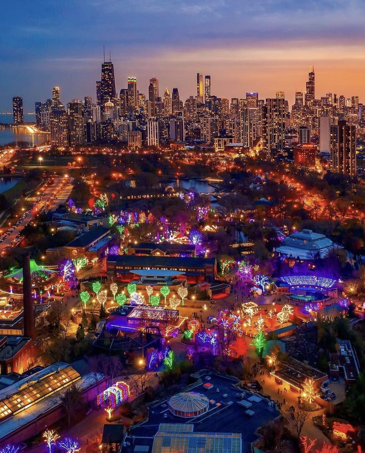 Lincoln Park Zoo Lights - The 20 Best Things to Do in Chicago in Winter