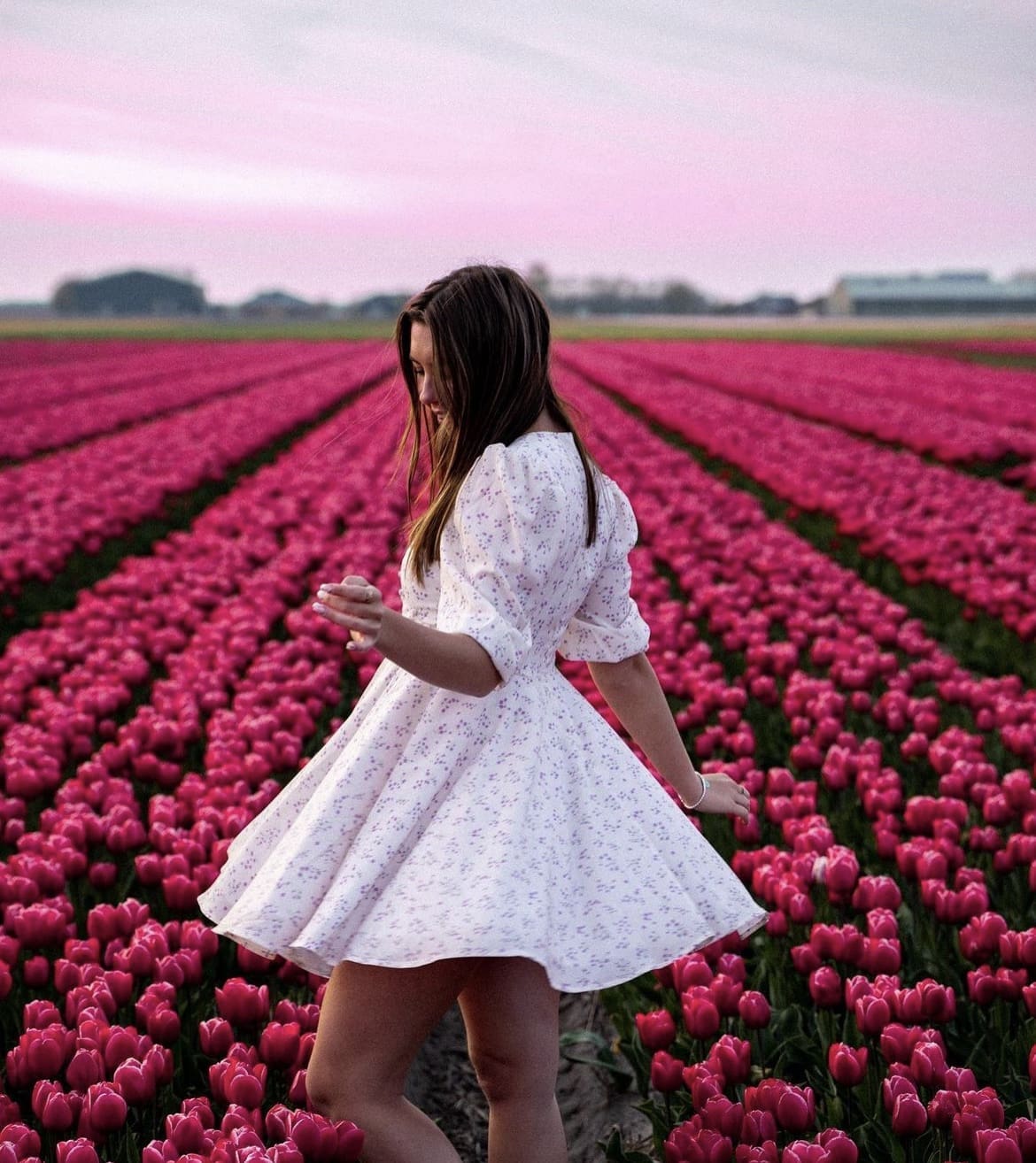 Bollenstreek - Tulip Gardens Near Amsterdam