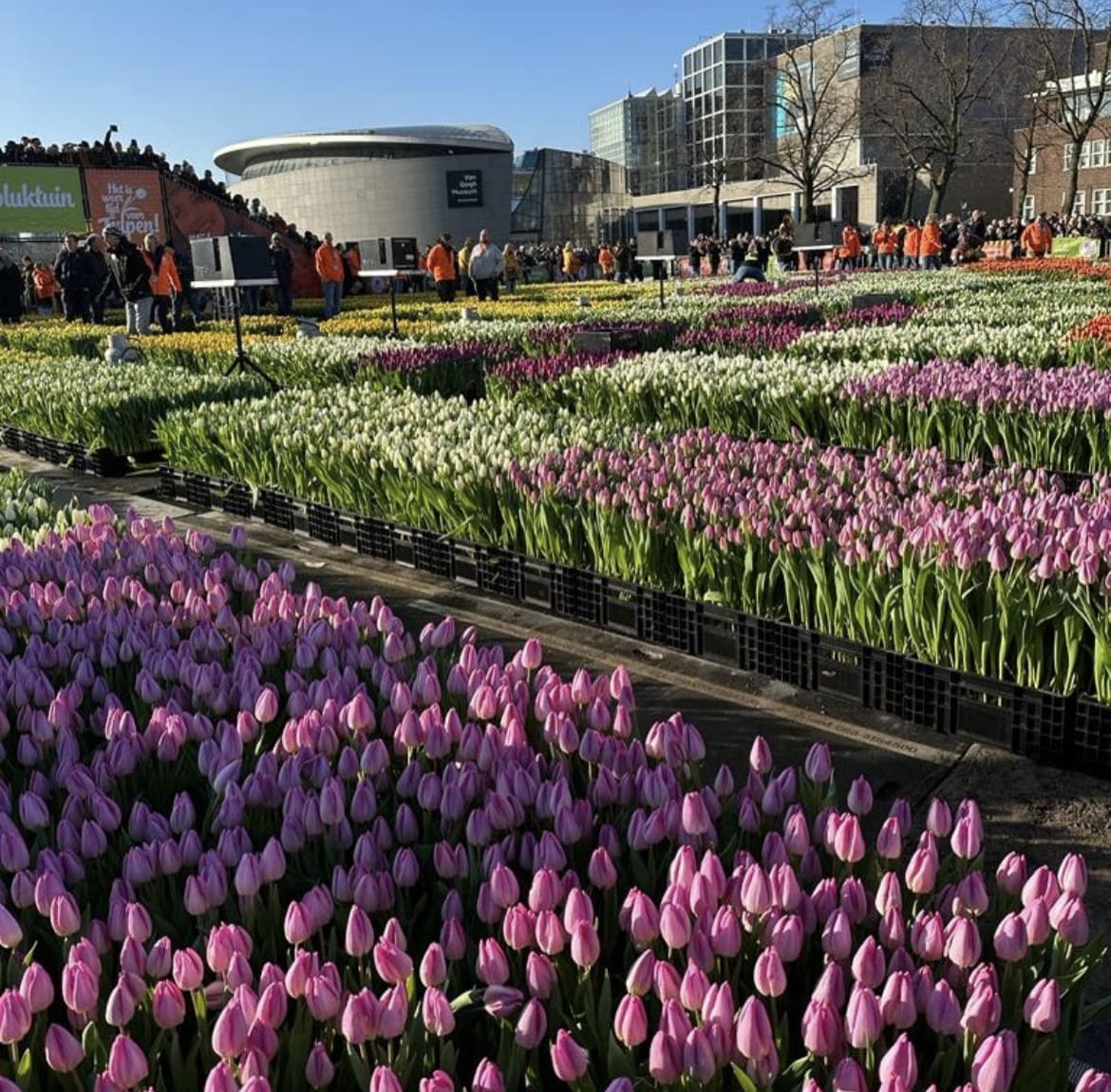 Amsterdam Tulip Museum