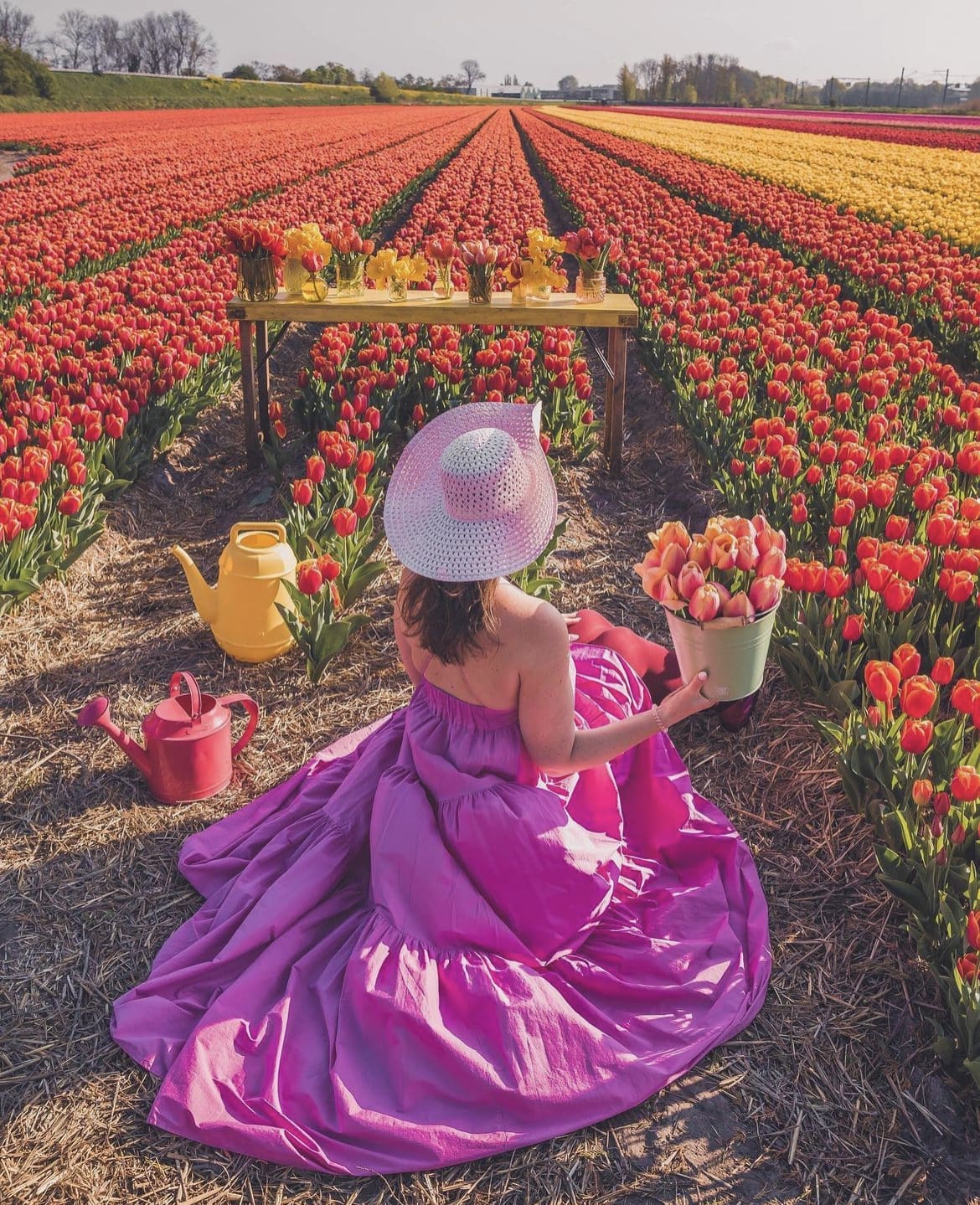 Noordwijkerhout tulip gardnes