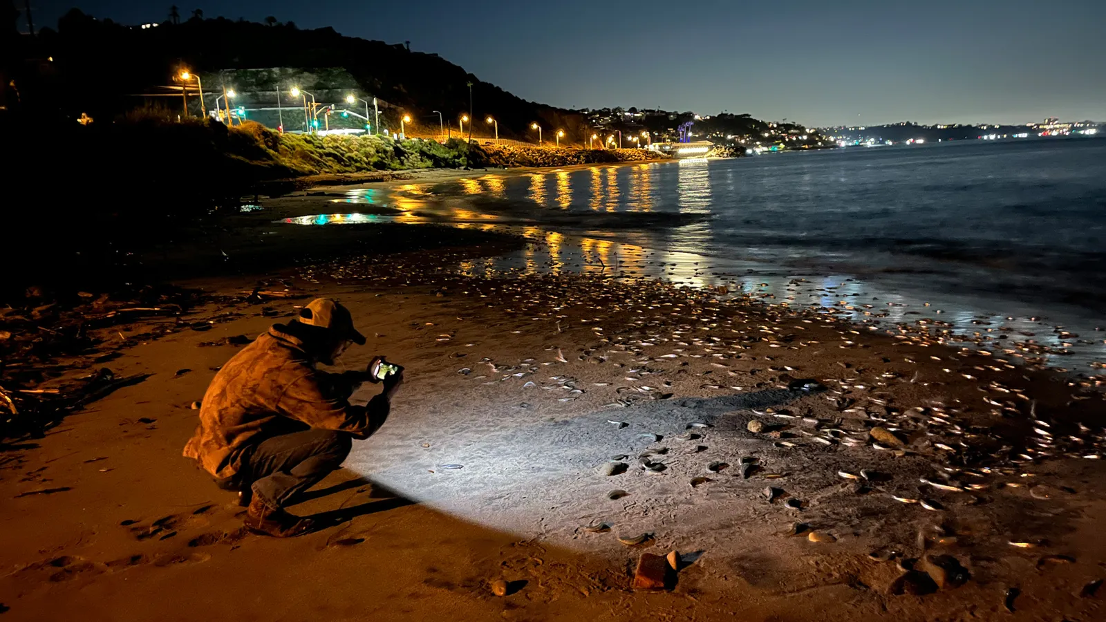 The Grunion Run