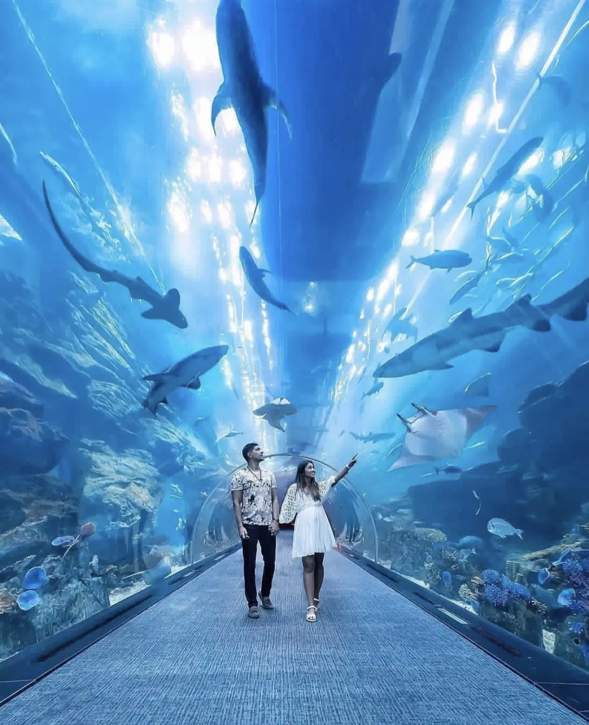 Dubai Aquarium