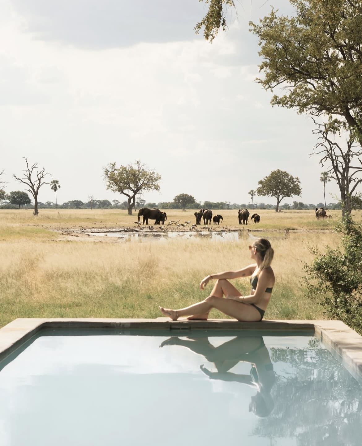 Poolside in Hwange National Park
